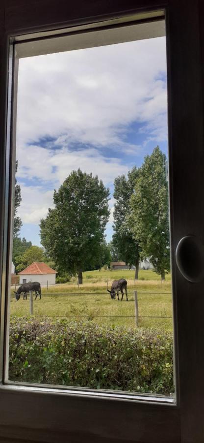 Chambres D'Hotes B&B Cote D'Opale La Fermette Du Lac Ardres Eksteriør bilde